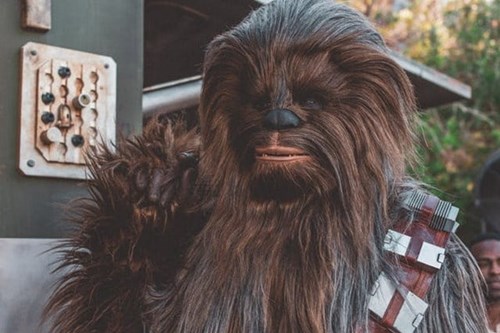 Chewbacca from Star Wars