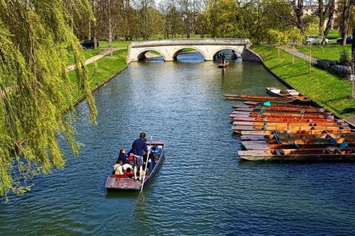 people punting in cambridge