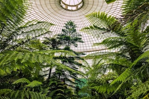 Glasgow Glass House - Botanical Garden