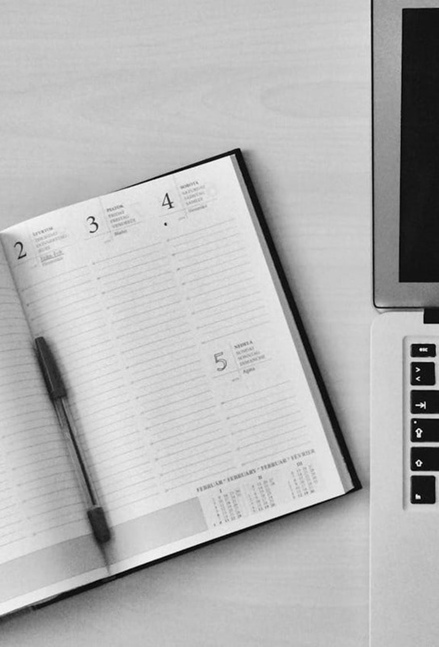 The Best Time to Study for Better Productivity