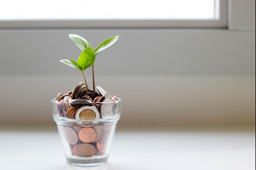 Plant growing on coins