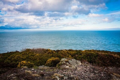 Howth Cliffs in the summer