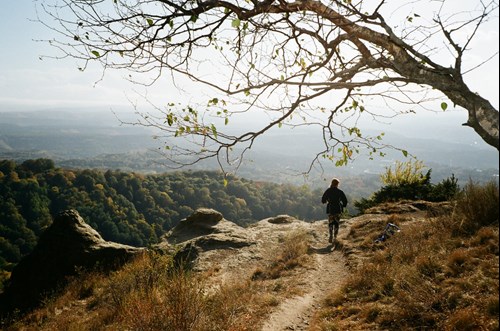 woman walking in nature